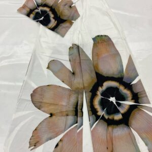 Conjunto blanco flor cafe